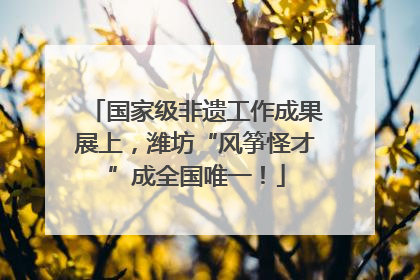 国家级非遗工作成果展上，潍坊“风筝怪才”成全国唯一！