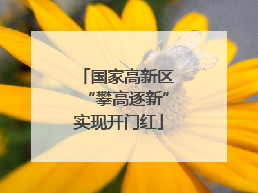 国家高新区“攀高逐新”实现开门红