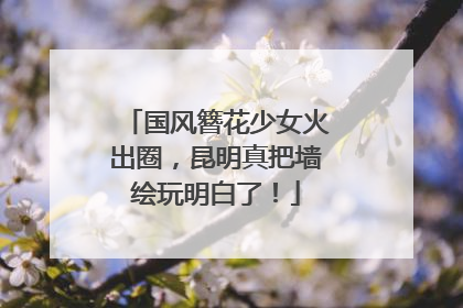 国风簪花少女火出圈，昆明真把墙绘玩明白了！