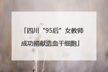 四川“95后”女教师成功捐献造血干细胞