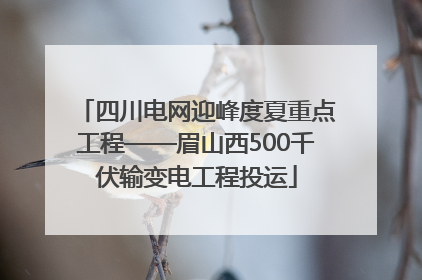 四川电网迎峰度夏重点工程——眉山西500千伏输变电工程投运