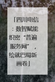 四川电信：数智赋能织密“普遍服务网”，绘就巴蜀新画卷