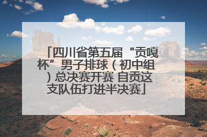 四川省第五届“贡嘎杯”男子排球（初中组）总决赛开赛 自贡这支队伍打进半决赛