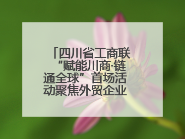 四川省工商联“赋能川商·链通全球”首场活动聚焦外贸企业应对贸易摩擦