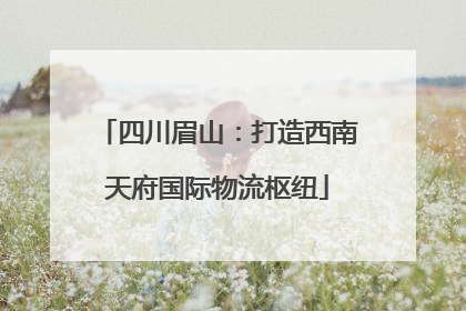 四川眉山：打造西南天府国际物流枢纽