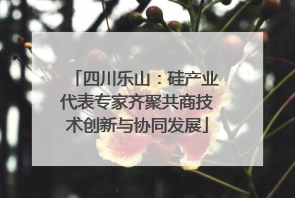 四川乐山：硅产业代表专家齐聚共商技术创新与协同发展