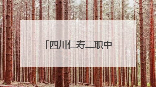 四川仁寿二职中：技能点亮青春，匠心接续传承