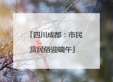 四川成都：市民赏民俗迎端午