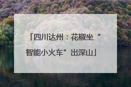 四川达州：花椒坐“智能小火车”出深山