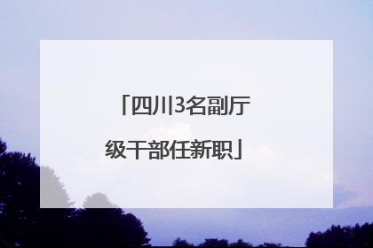 四川3名副厅级干部任新职