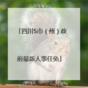 四川5市（州）政府最新人事任免