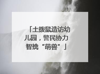 土拨鼠造访幼儿园，警民协力智擒“萌兽”