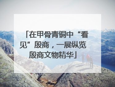 在甲骨青铜中“看见”殷商，一展纵览殷商文物精华