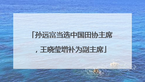 孙远富当选中国田协主席，王晓莹增补为副主席