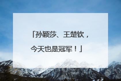 孙颖莎、王楚钦，今天也是冠军！