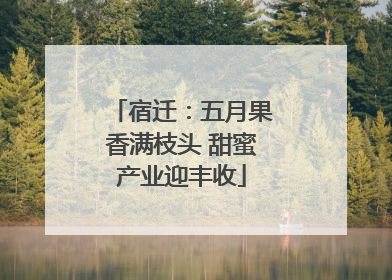 宿迁：五月果香满枝头 甜蜜产业迎丰收
