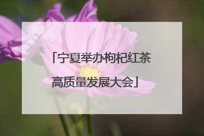 宁夏举办枸杞红茶高质量发展大会