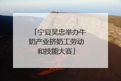宁夏吴忠举办牛奶产业挤奶工劳动和技能大赛