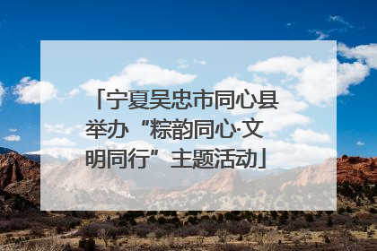 宁夏吴忠市同心县举办“粽韵同心·文明同行”主题活动
