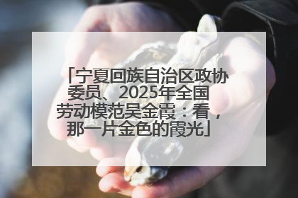 宁夏回族自治区政协委员、2025年全国劳动模范吴金霞：看，那一片金色的霞光