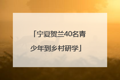 宁夏贺兰40名青少年到乡村研学