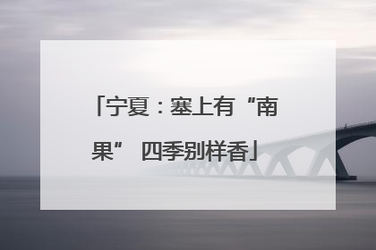 宁夏：塞上有“南果” 四季别样香