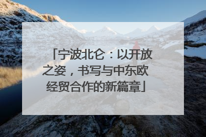 宁波北仑：以开放之姿，书写与中东欧经贸合作的新篇章