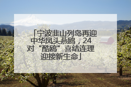 宁波韭山列岛再迎中华凤头燕鸥，24对“酷鸥”喜结连理迎接新生命