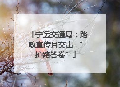 宁远交通局：路政宣传月交出 “护路答卷”