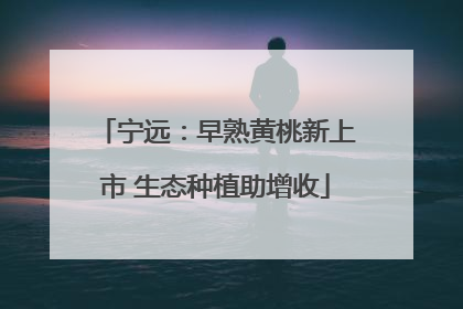 宁远：早熟黄桃新上市 生态种植助增收
