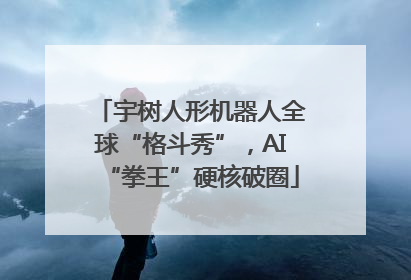 宇树人形机器人全球“格斗秀”，AI“拳王”硬核破圈