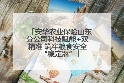 安华农业保险山东分公司科技赋能+双精准 筑牢粮食安全“稳定器”