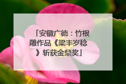 安徽广德：竹根雕作品《梁丰岁稔》斩获金鼎奖