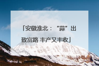 安徽淮北：“蒜”出致富路 丰产又丰收