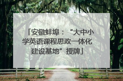 安徽蚌埠：“大中小学英语课程思政一体化建设基地”授牌