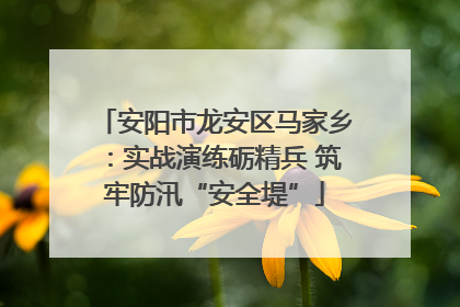 安阳市龙安区马家乡：实战演练砺精兵 筑牢防汛“安全堤”