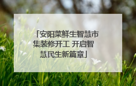 安阳菜鲜生智慧市集装修开工 开启智慧民生新篇章
