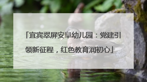 宜宾翠屏安阜幼儿园：党建引领新征程，红色教育润初心