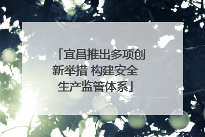 宜昌推出多项创新举措 构建安全生产监管体系