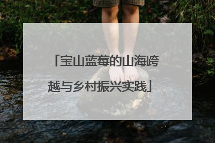 宝山蓝莓的山海跨越与乡村振兴实践