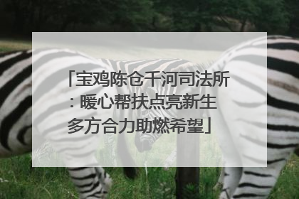 宝鸡陈仓千河司法所：暖心帮扶点亮新生 多方合力助燃希望