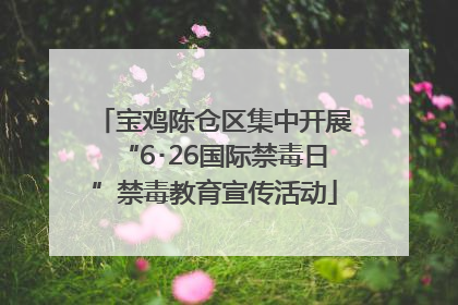 宝鸡陈仓区集中开展“6･26国际禁毒日”禁毒教育宣传活动