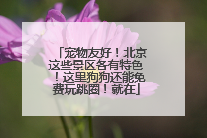 宠物友好！北京这些景区各有特色！这里狗狗还能免费玩跳圈！就在