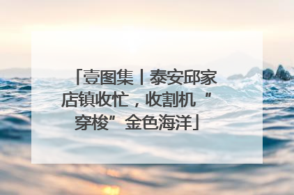壹图集丨泰安邱家店镇收忙，收割机“穿梭”金色海洋