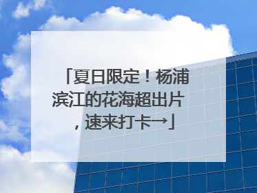 夏日限定！杨浦滨江的花海超出片，速来打卡→