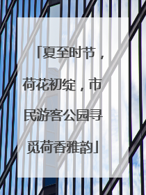夏至时节，荷花初绽，市民游客公园寻觅荷香雅韵