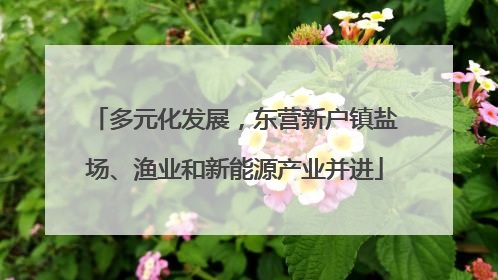 多元化发展，东营新户镇盐场、渔业和新能源产业并进