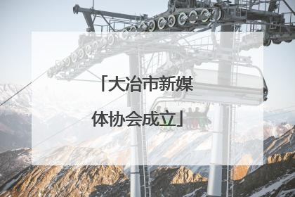 大冶市新媒体协会成立