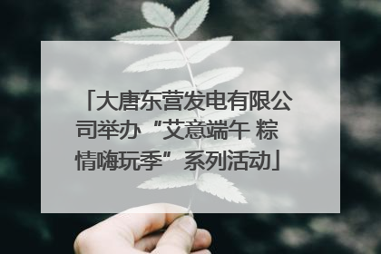 大唐东营发电有限公司举办“艾意端午 粽情嗨玩季”系列活动