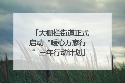 大栅栏街道正式启动“暖心万家行”三年行动计划